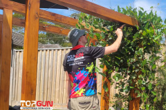 childcare-maintenance-services